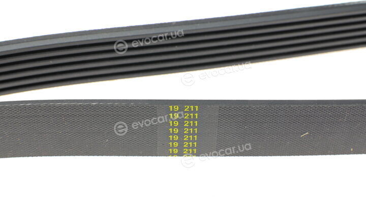 Hutchinson 1479 K 6