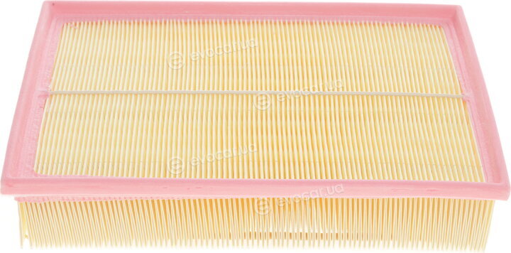 Solgy 103036