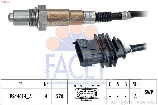 Facet 10.8546