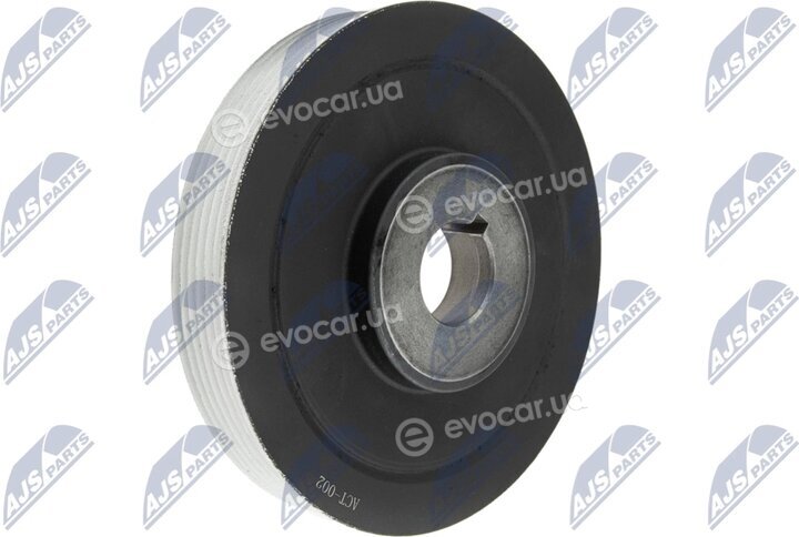 NTY RKP-CT-002