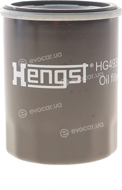 Hengst HG493W