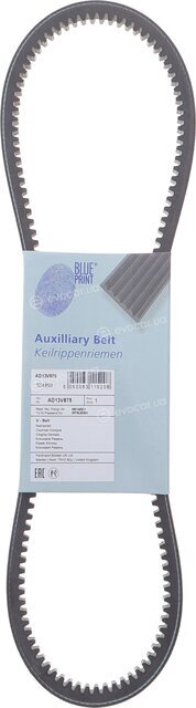 Blue Print AD13V875