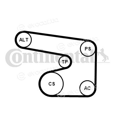 Continental 6PK1900K1