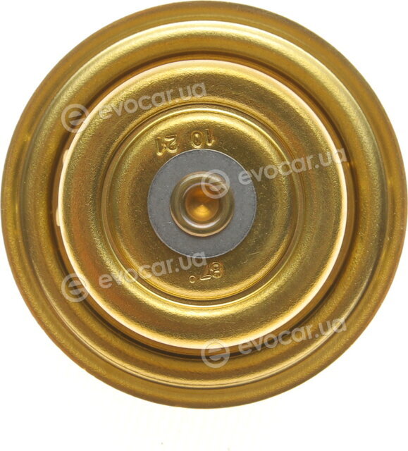 Wahler / BorgWarner 4253.87D