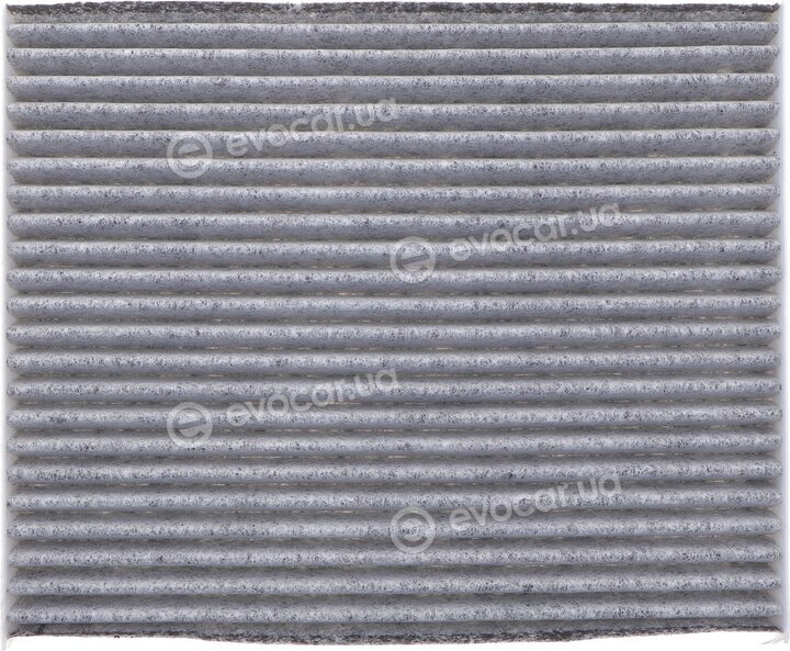 Solgy 104087