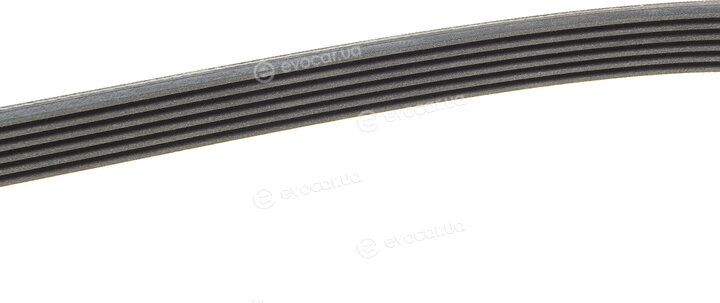 Continental 6PK1195