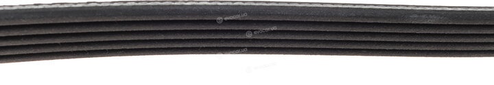 Dayco 5PK1450