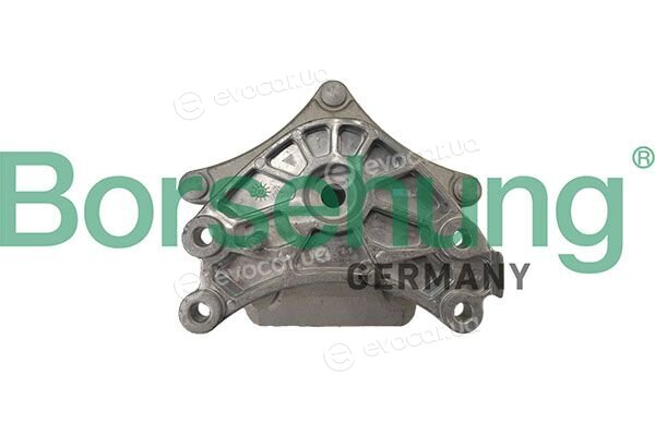 Borsehung B12889