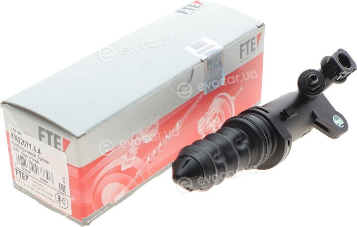 FTE 3101822
