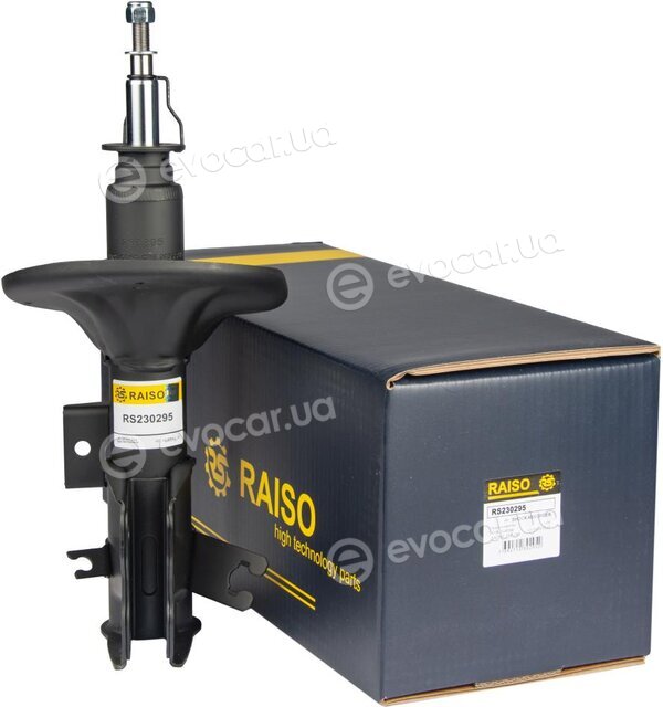 Raiso RS230295