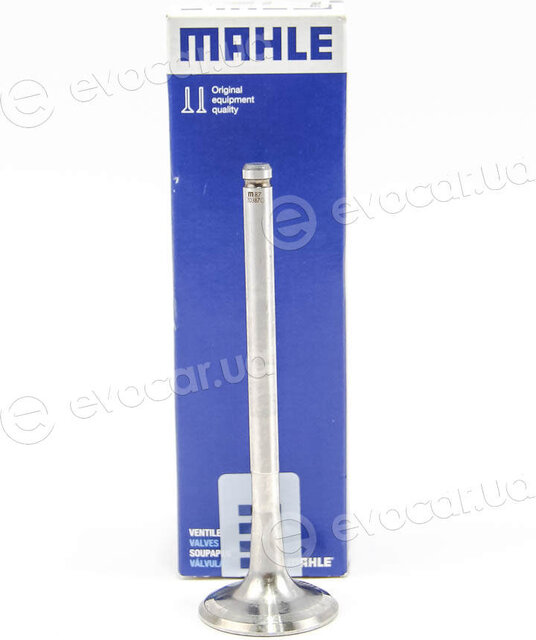 Mahle 021 VA 30387 000