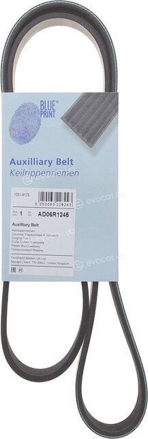 Blue Print AD06R1245