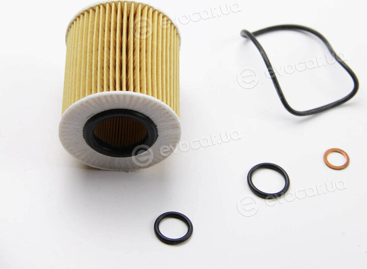 Mahle OX 166/1D