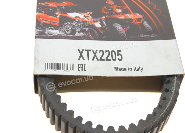 Dayco XTX2205