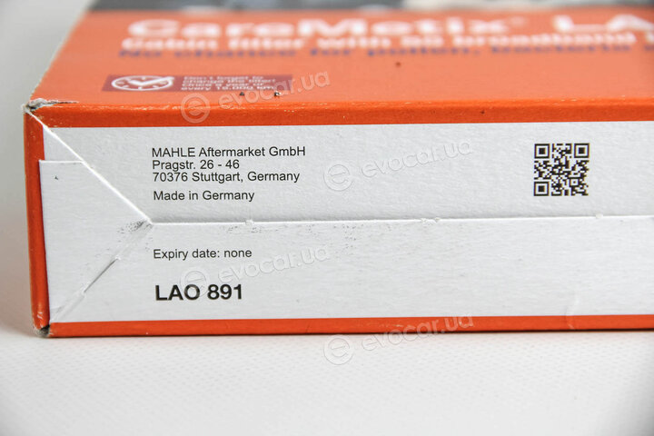 Mahle LAO 891