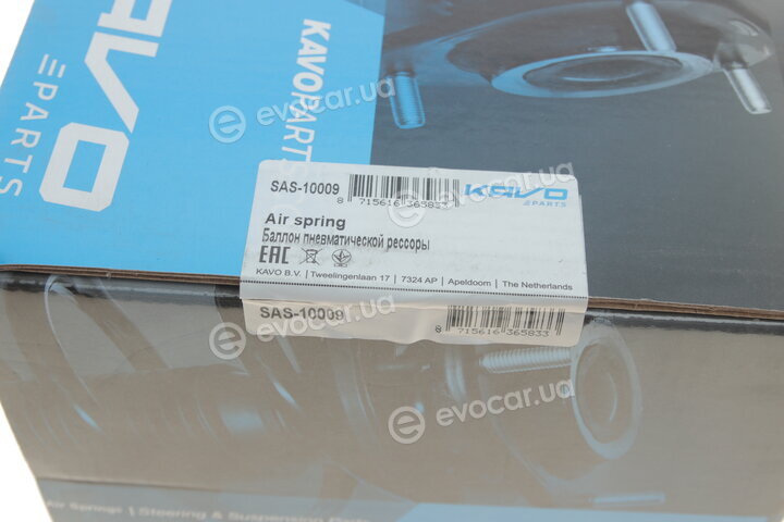 Kavo SAS-10009
