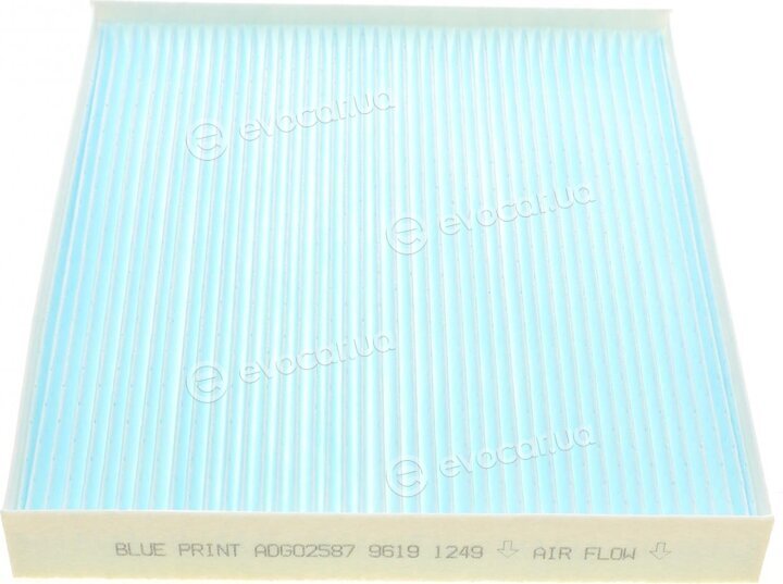 Blue Print ADG02587