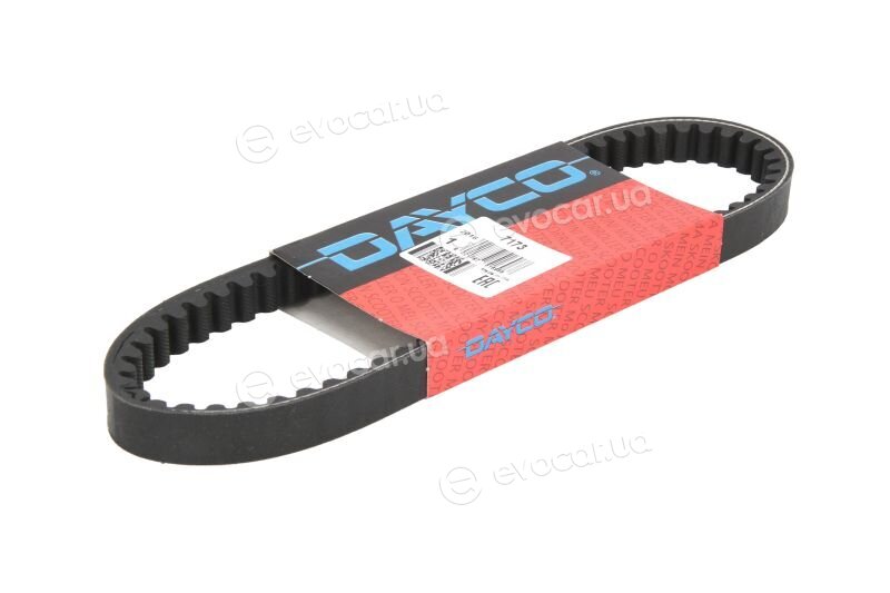 Dayco 7173