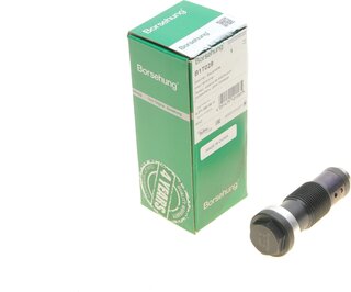 Borsehung B1T028