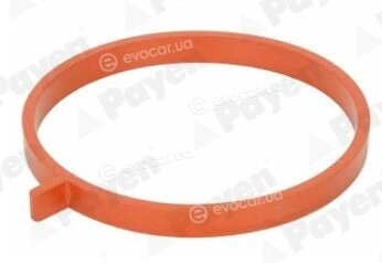 Payen JD6186