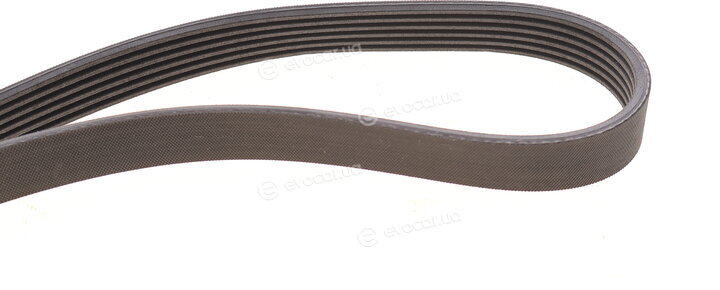Continental 6PK1502 EXTRA K1