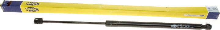 Magneti Marelli 430719149500