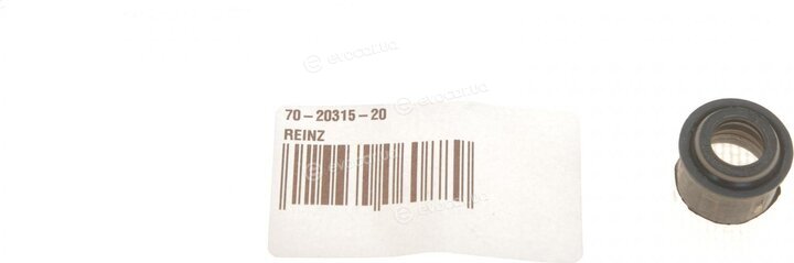 Victor Reinz 70-20315-20