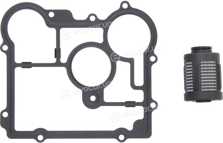 BorgWarner DS2006273