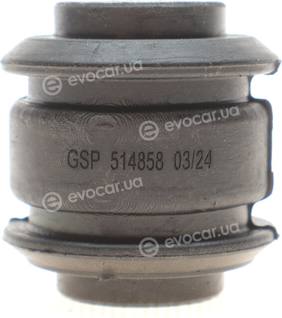 GSP 514858