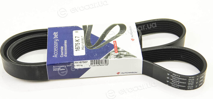 Hutchinson 1675 K 7