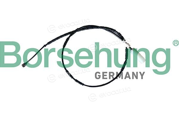 Borsehung B13152