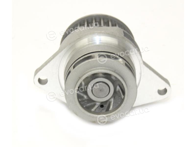 Starline VP V133