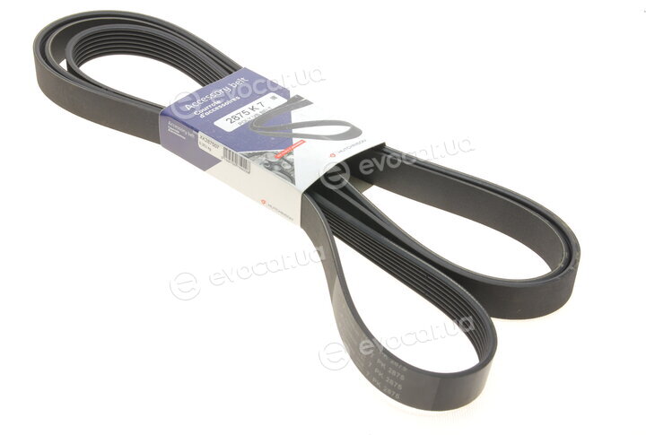 Hutchinson 2875 K 7