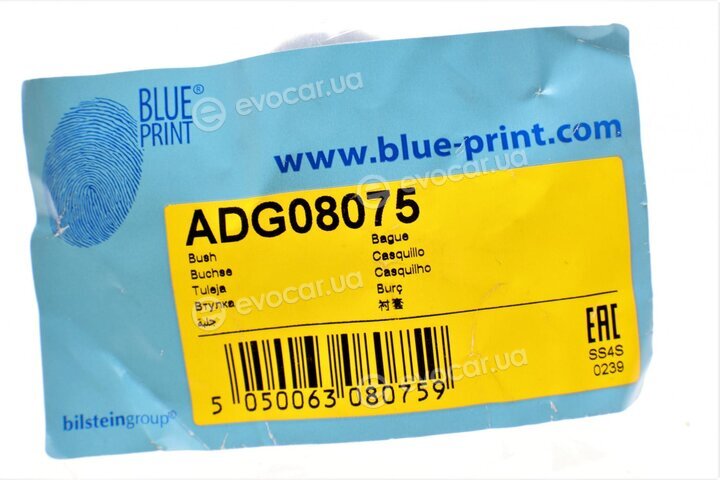 Blue Print ADG08075