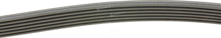 Continental 6PK2100