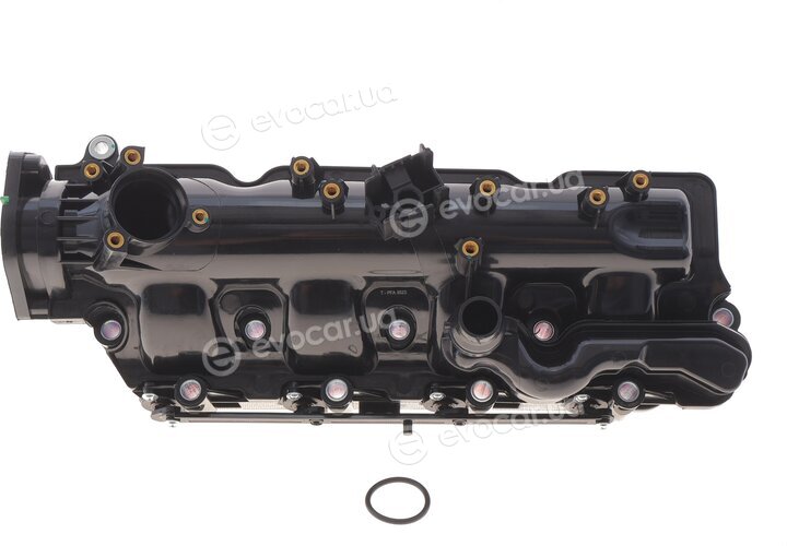 Solgy 114278