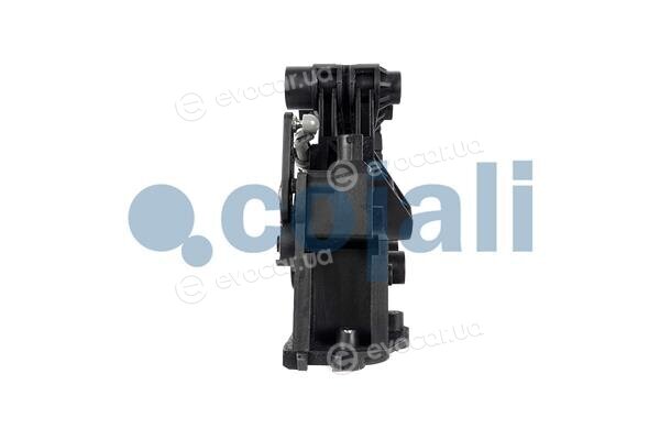 Cojali 2260507