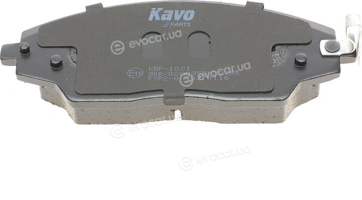 Kavo KBP-1021