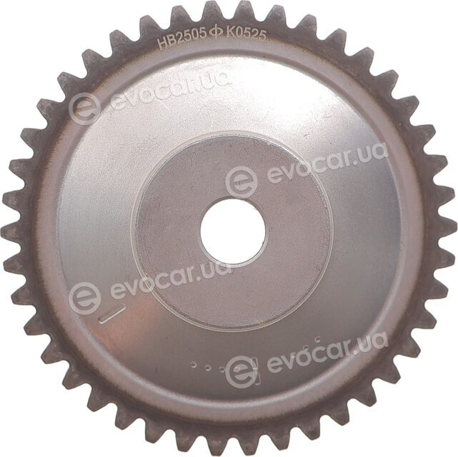 Motive TCK304