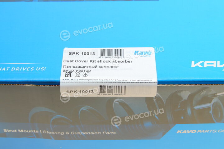 Kavo SPK-10013