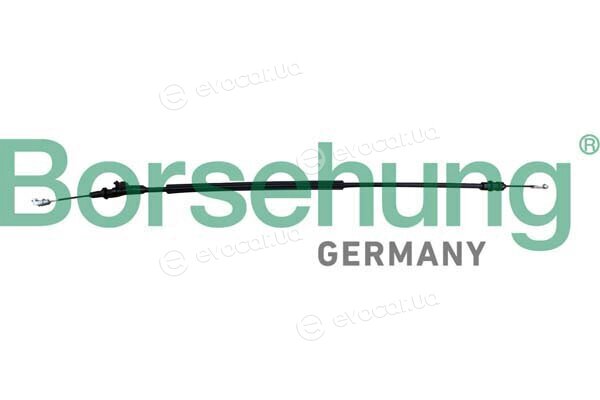 Borsehung B12342