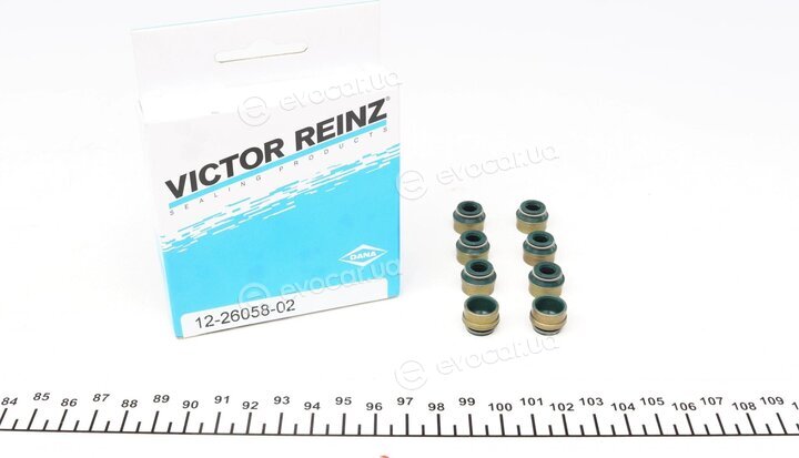 Victor Reinz 02-31200-01