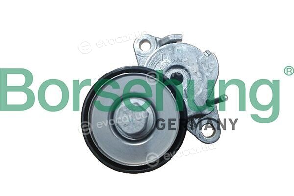 Borsehung B13081