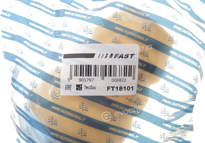 Fast FT18101