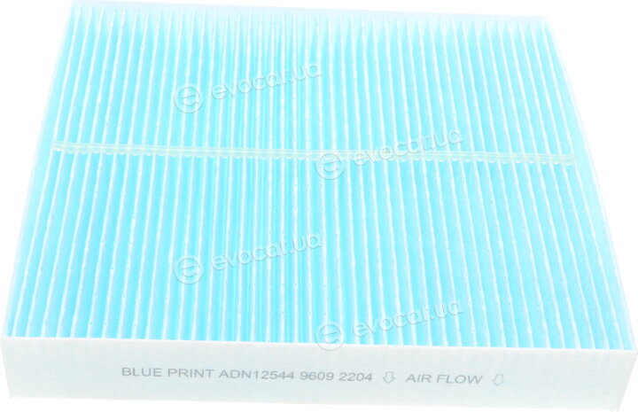 Blue Print ADN12544