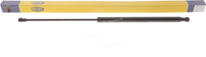 Magneti Marelli 430719069700
