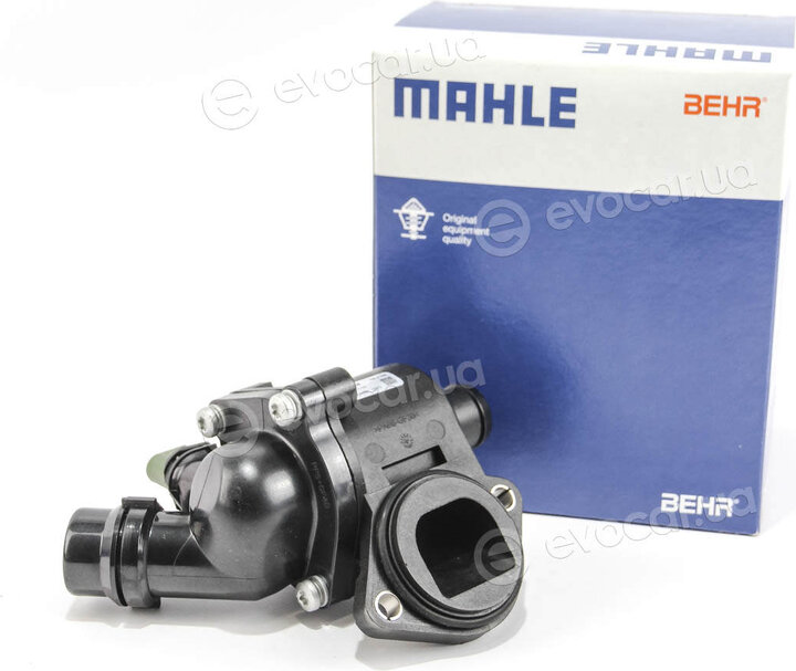 Mahle TM 3 100