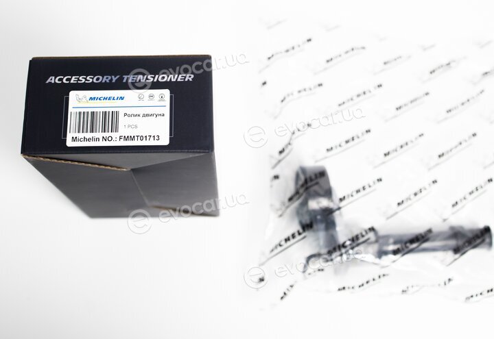 Michelin FMMT01713