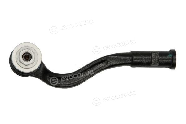 Reinhoch RH01-0038