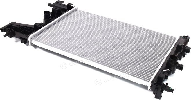 AVA OLA2484